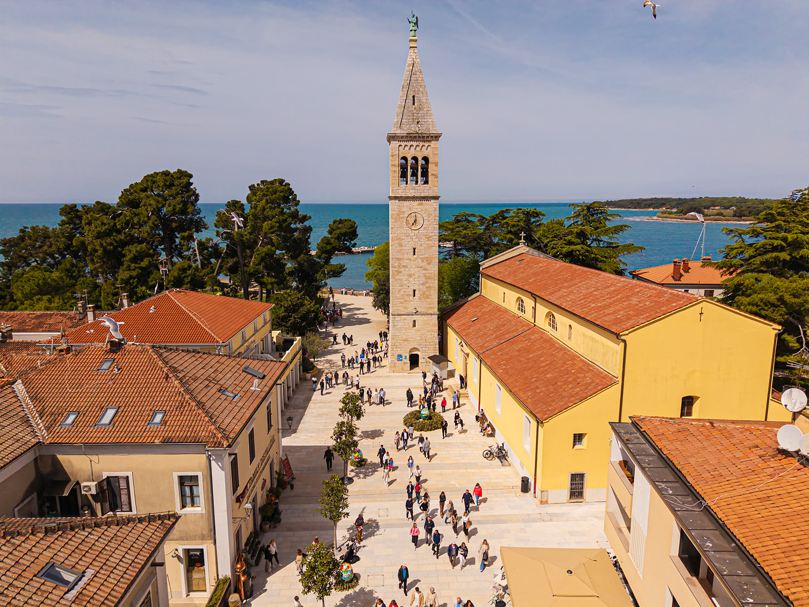 Novigrad-Cittanova